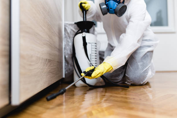 Best Affordable Pest Control Services  in Canton, NC
