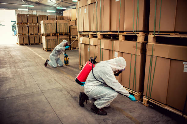 Pest Control Cost in Canton, NC