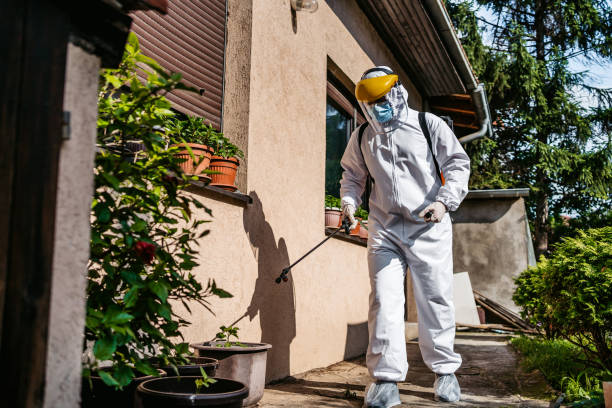 Best Best Pest Control Companies  in Canton, NC