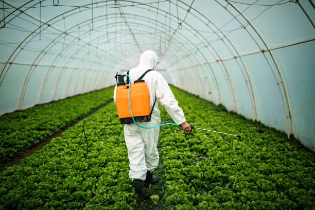 Pest Control for Restaurants in Canton, NC