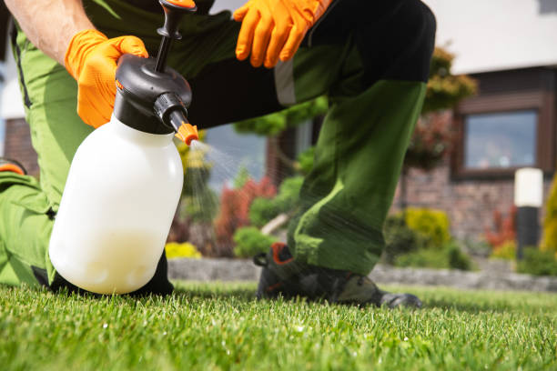 Best Ant Control Services  in Canton, NC