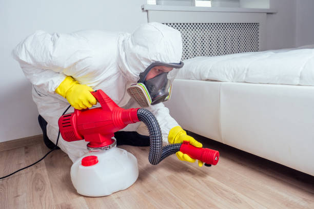 Reliable Canton, NC Pest Control Solutions