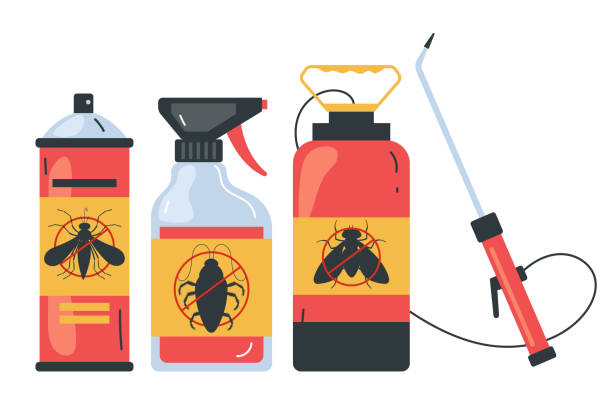 Best Spider Control Near Me  in Canton, NC