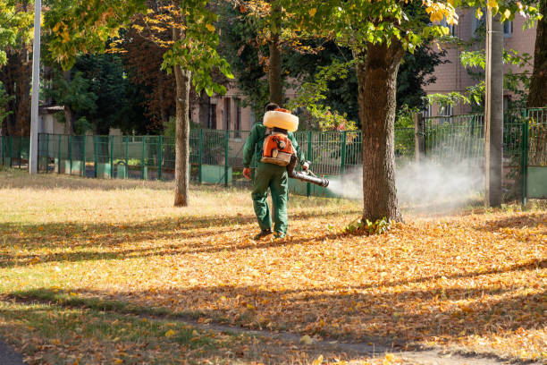 Best Wildlife Control Services  in Canton, NC