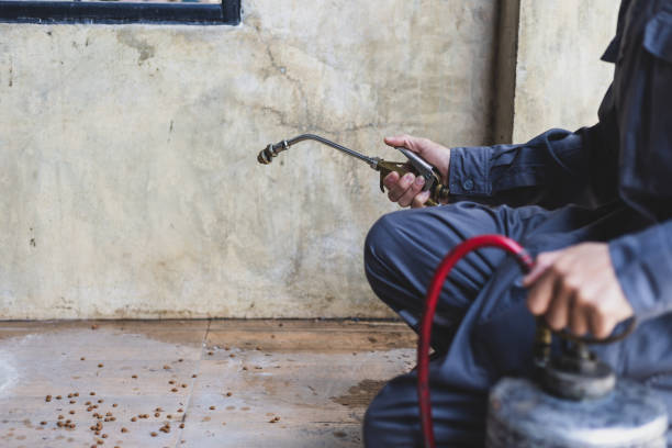Best Affordable Pest Control Services  in Canton, NC